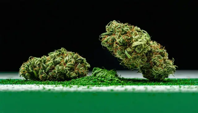 Marquette County Gets Its First Medical Marijuana Dispensary, Three Years in the Making